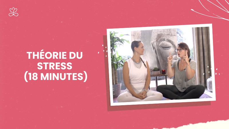 Jour 2 - Théorie du stress (18 minutes)